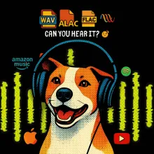 Episode artwork for Nobody can actually hear lossless audio, including you